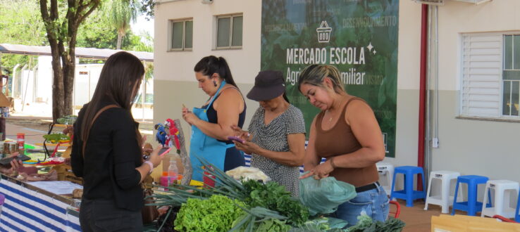 Mercado Escola inícia comercializações no mês de novembro