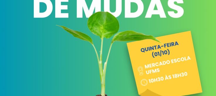 Mercado Escola promove distribuição de mudas nativas do Cerrado nesta  quinta-feira