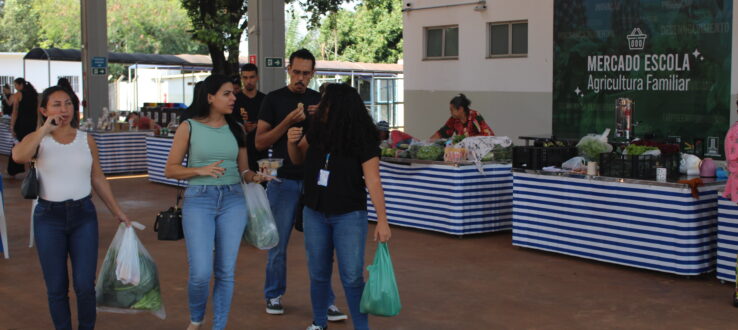 Comercializações do Mercado Escola movimentam mais de 22 mil reais em agosto