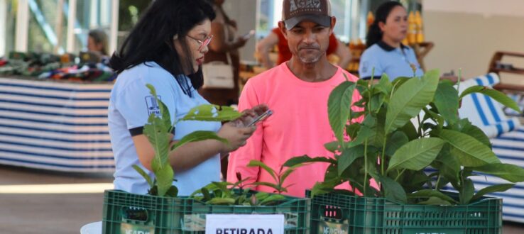 Mercado Escola realiza distribuição de mudas nativas e frutíferas durante comercialização